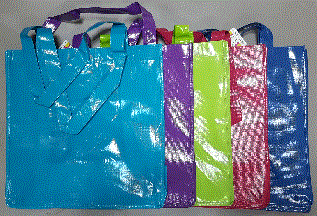 Reusable Shopping Bag